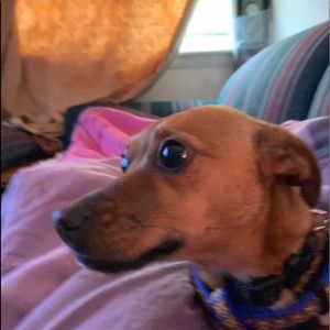 Meet your Posher, Sheri